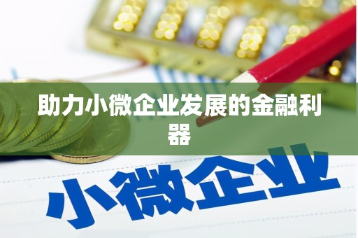 墨玉助力小微企业发展的金融利器