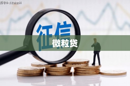 墨玉微粒贷