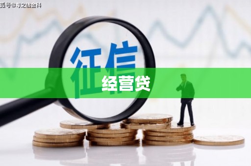 墨玉经营贷