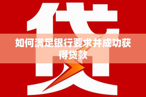 墨玉如何满足银行要求并成功获得贷款