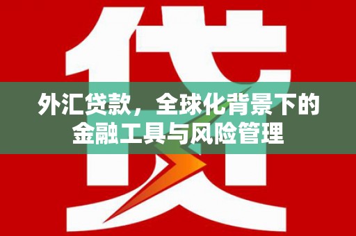墨玉外汇贷款，全球化背景下的金融工具与风险管理